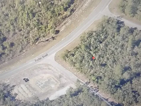 00 Fisher Road Ocklawaha FL 32179