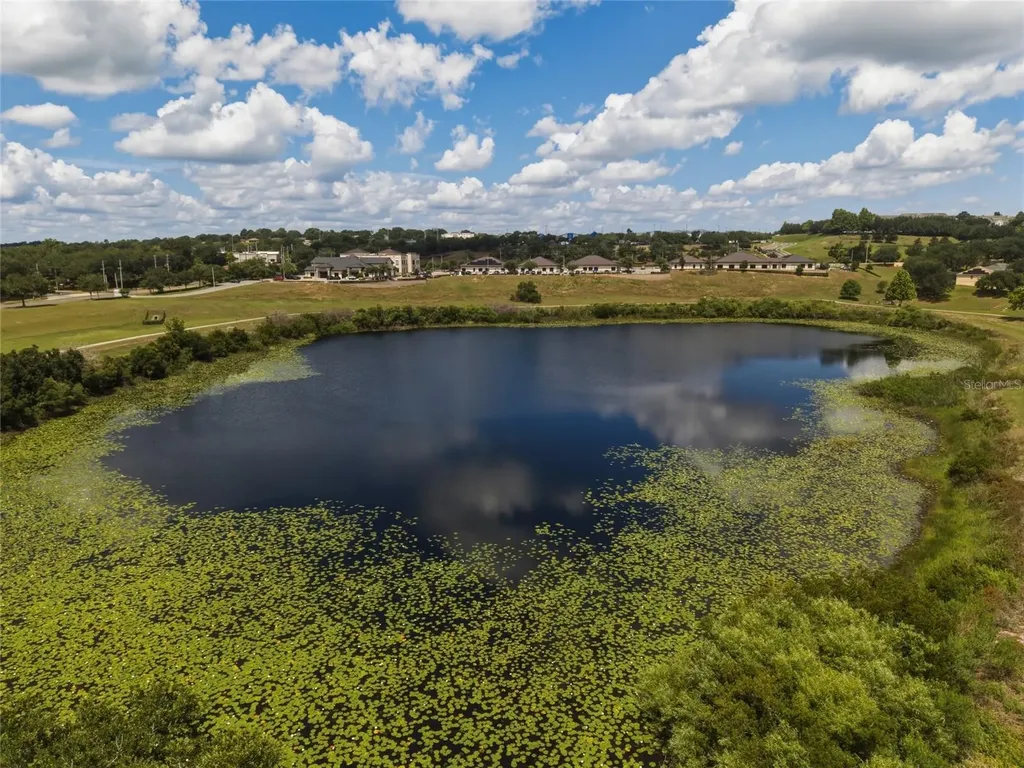1893 Sanderling Drive Clermont FL 34711