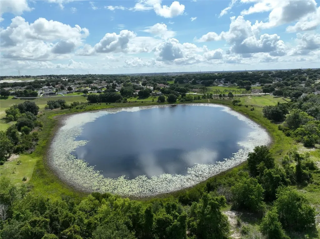 1893 Sanderling Drive Clermont FL 34711