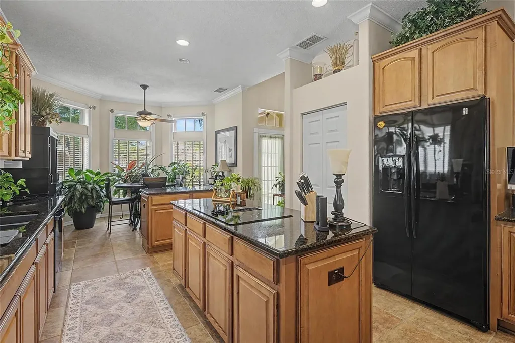 19027 Weatherstone Drive Tampa FL 33647