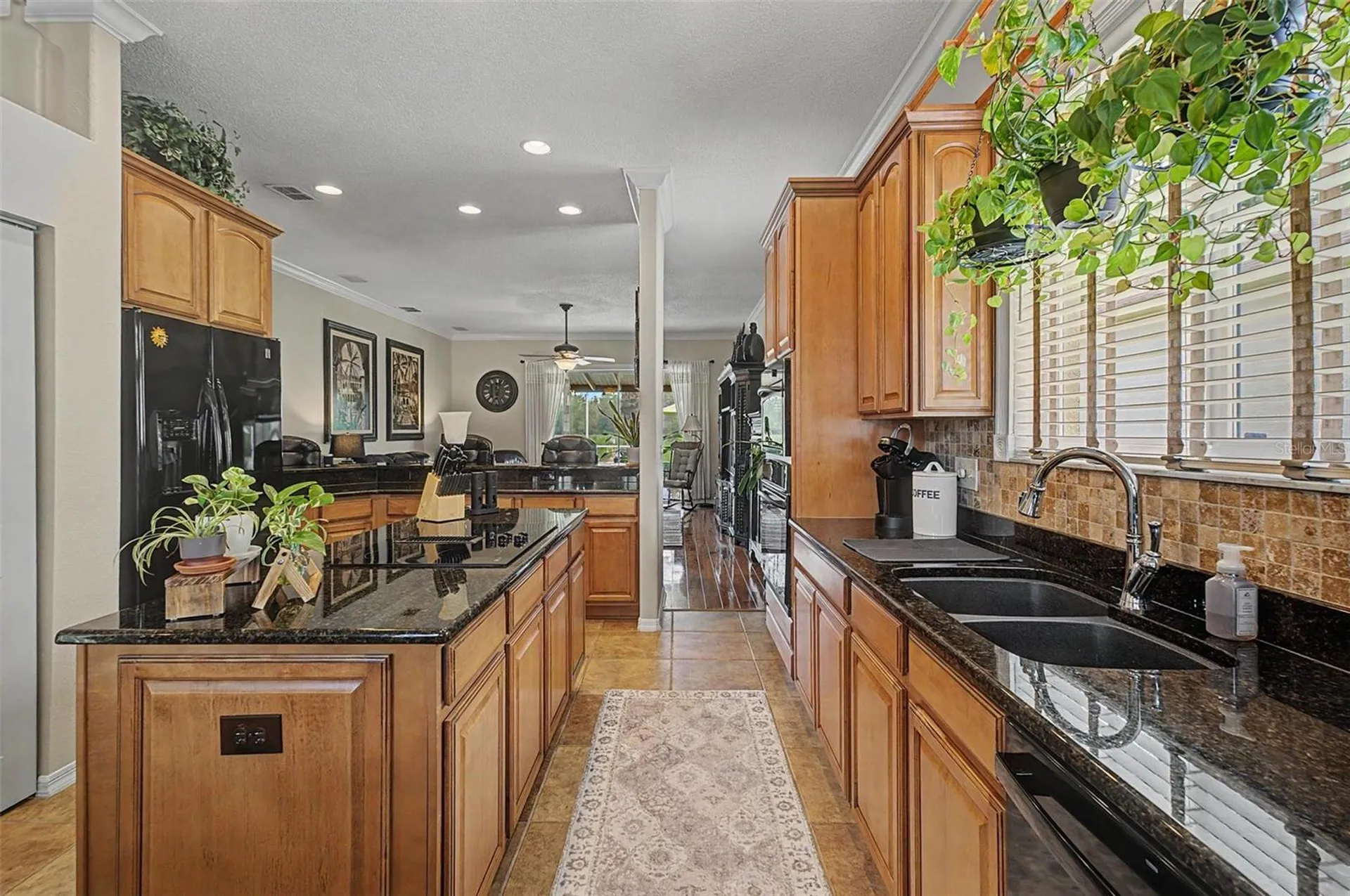 19027 Weatherstone Drive Tampa FL 33647