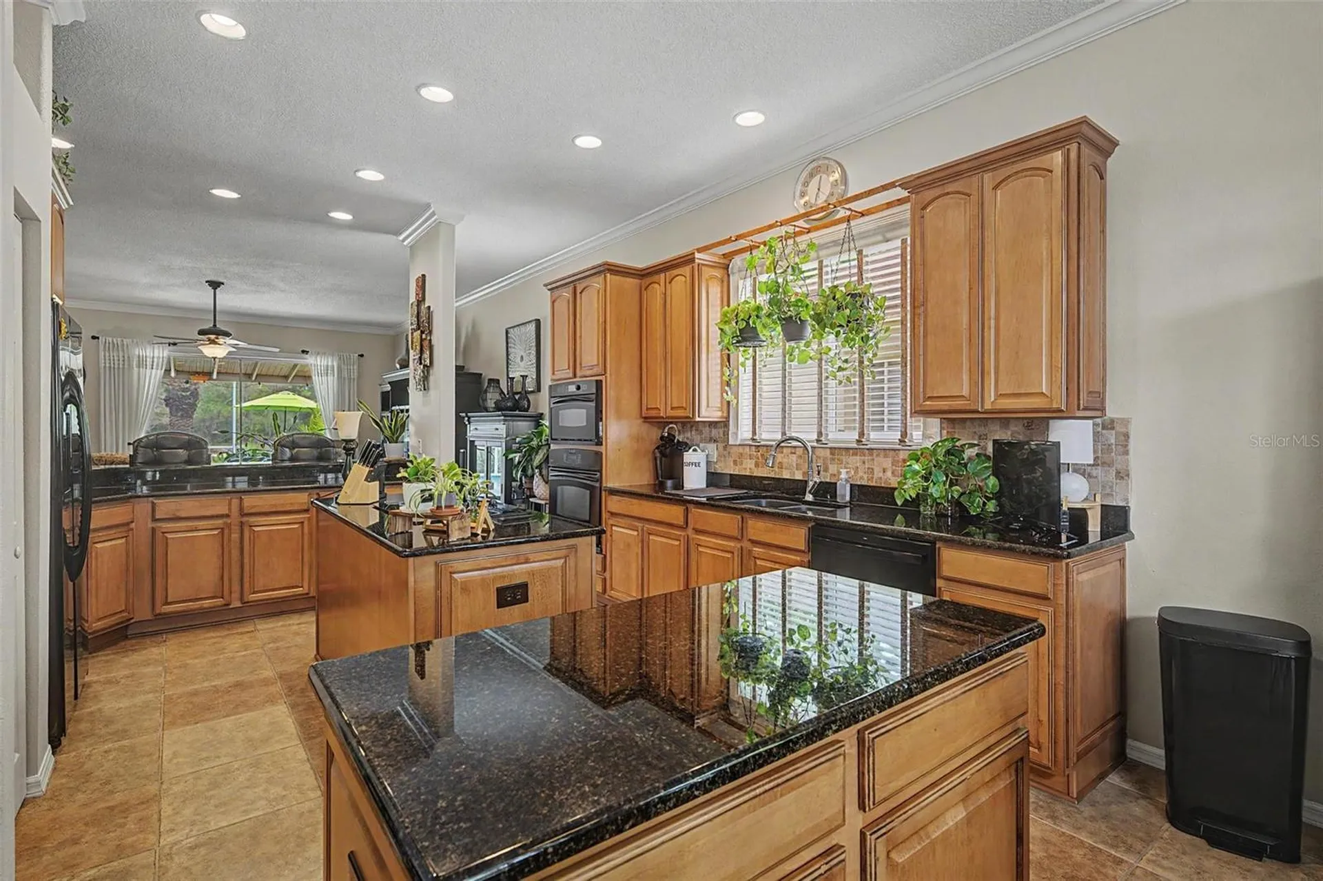 19027 Weatherstone Drive Tampa FL 33647