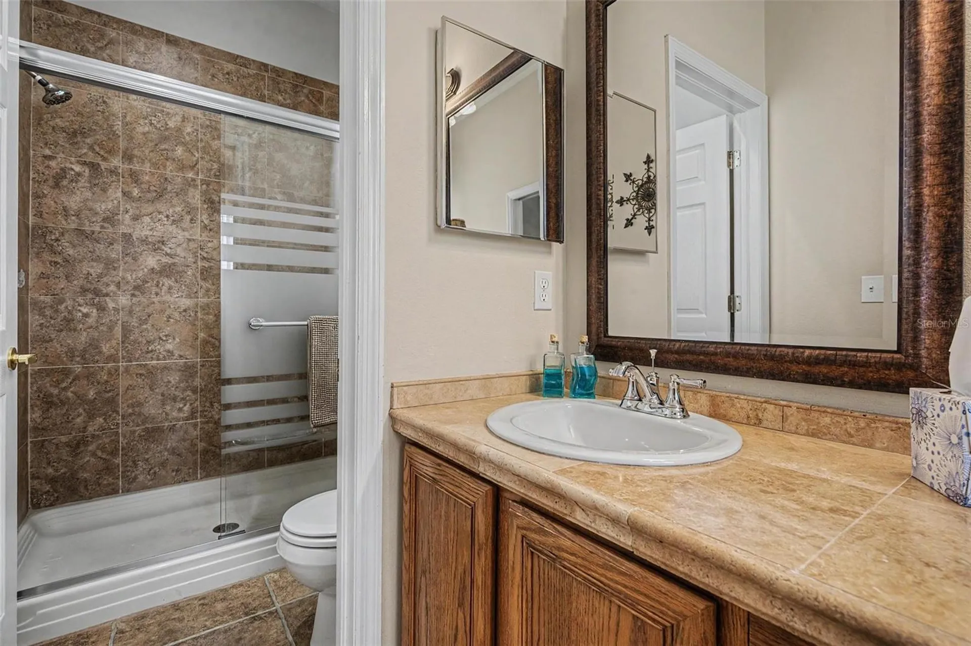 19027 Weatherstone Drive Tampa FL 33647