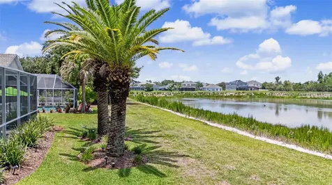 19027 Weatherstone Drive Tampa FL 33647