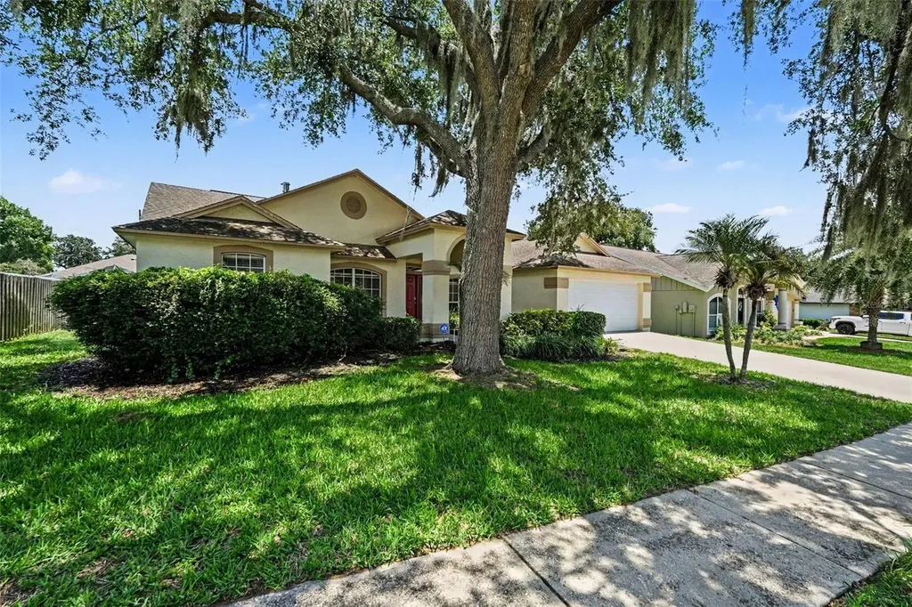 2909 Starmount Drive Valrico FL 33596