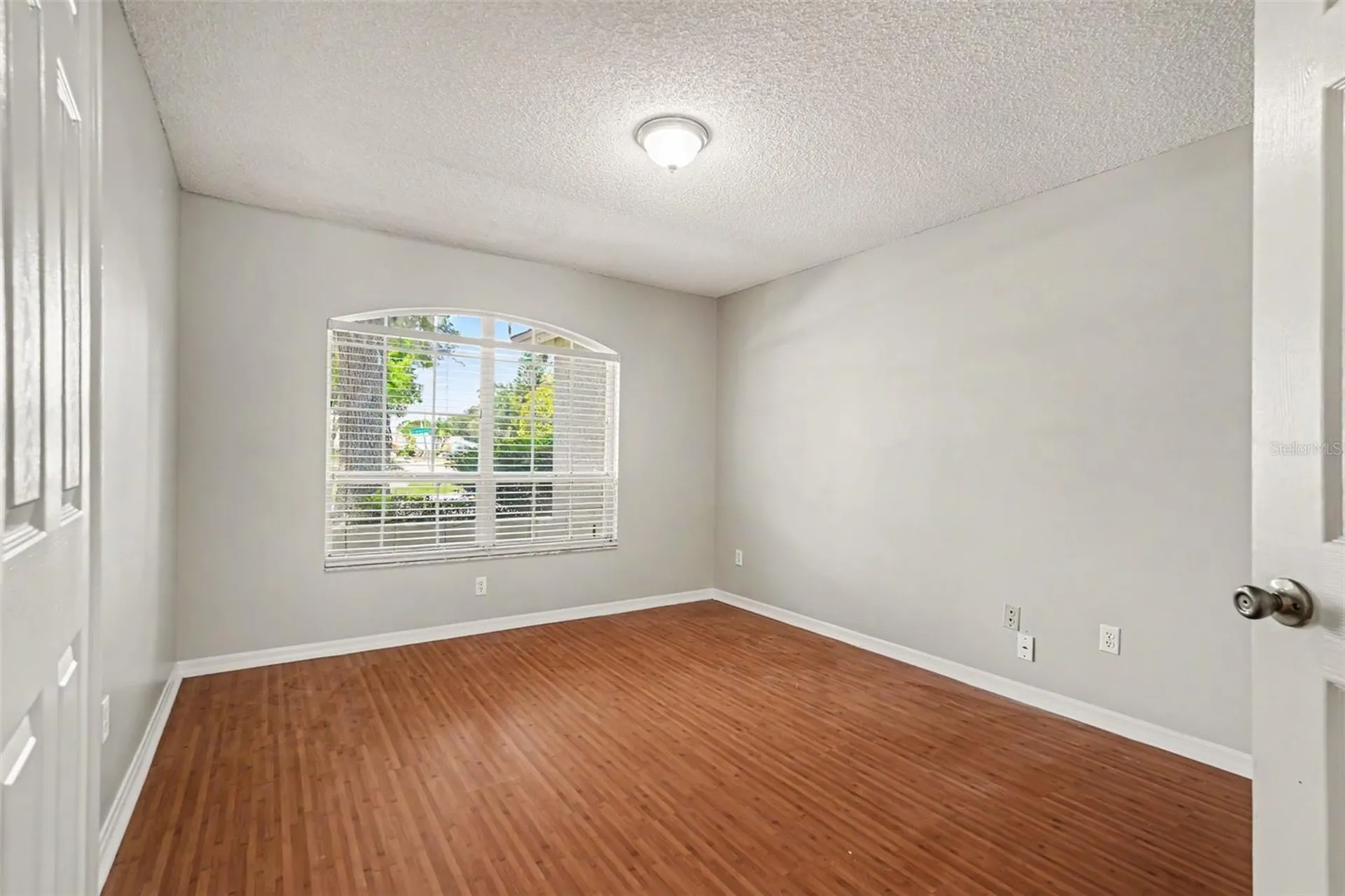 2909 Starmount Drive Valrico FL 33596