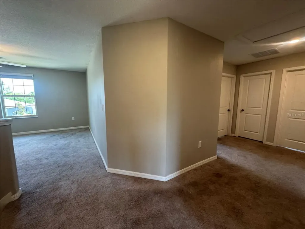5415 Amaryllis Garden Street Apollo Beach FL 33572
