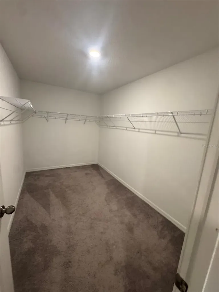 5415 Amaryllis Garden Street Apollo Beach FL 33572