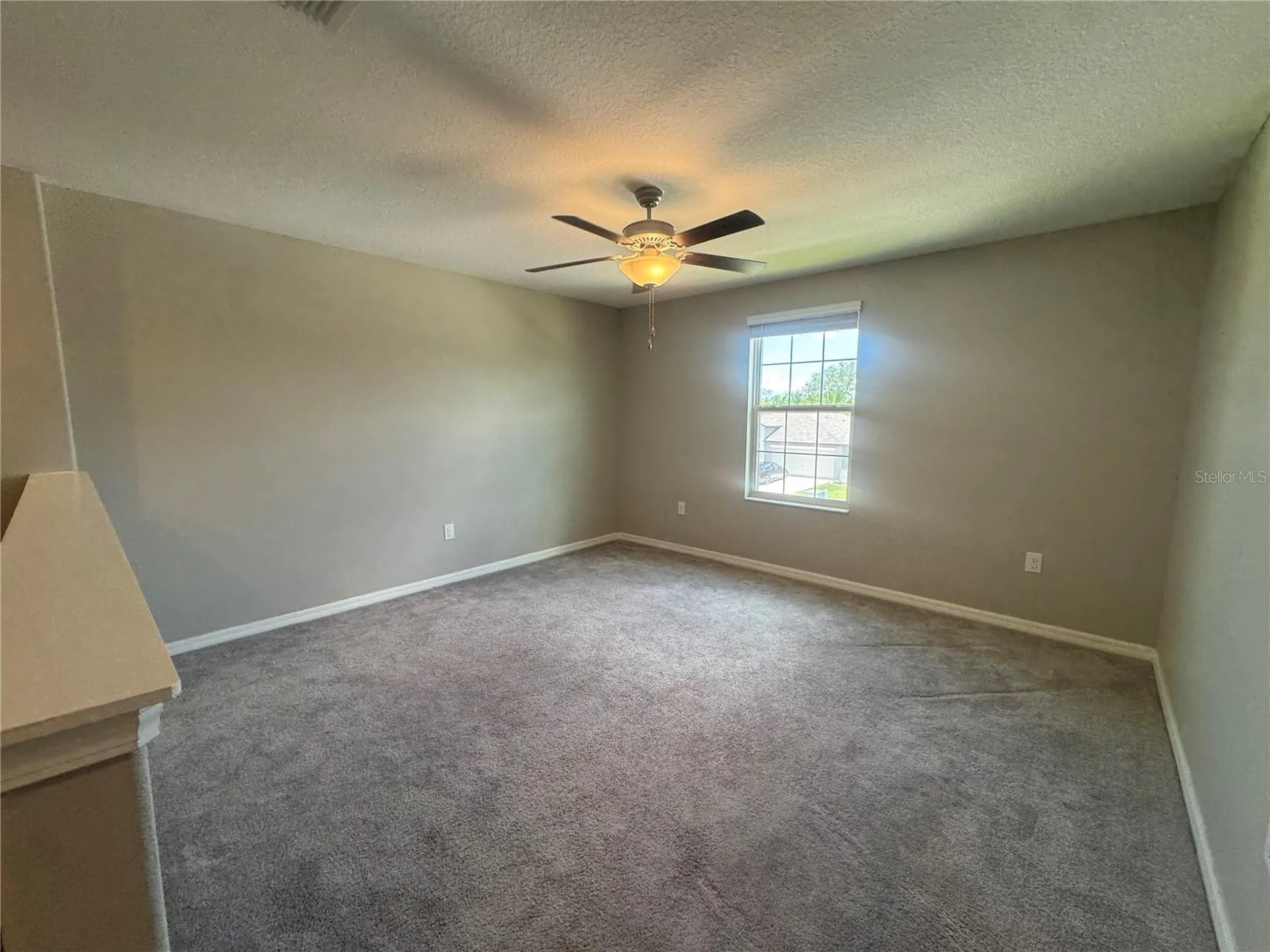 5415 Amaryllis Garden Street Apollo Beach FL 33572