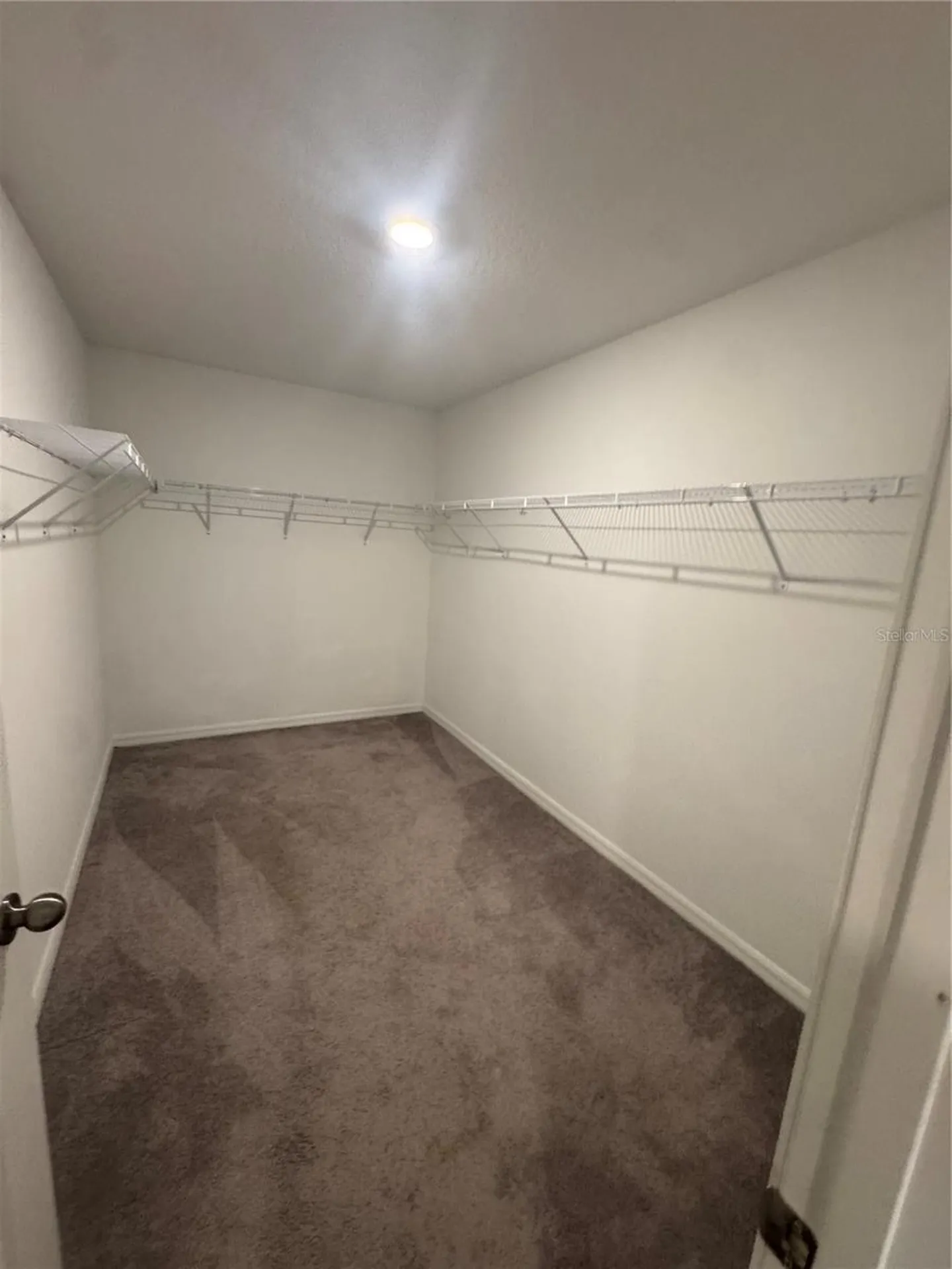5415 Amaryllis Garden Street Apollo Beach FL 33572