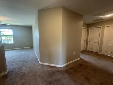 5415 Amaryllis Garden Street Apollo Beach FL 33572