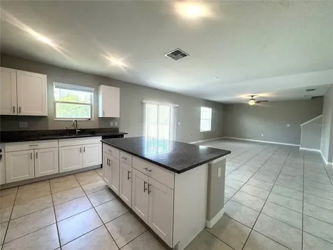 5415 Amaryllis Garden Street Apollo Beach FL 33572