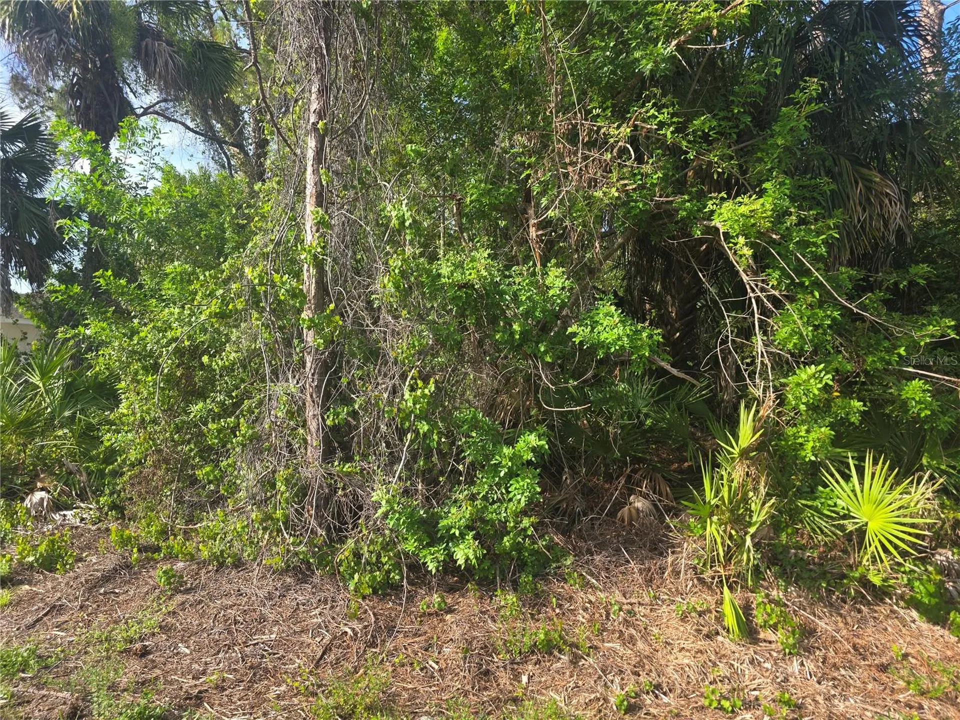 Pronto Lane North Port FL 34286