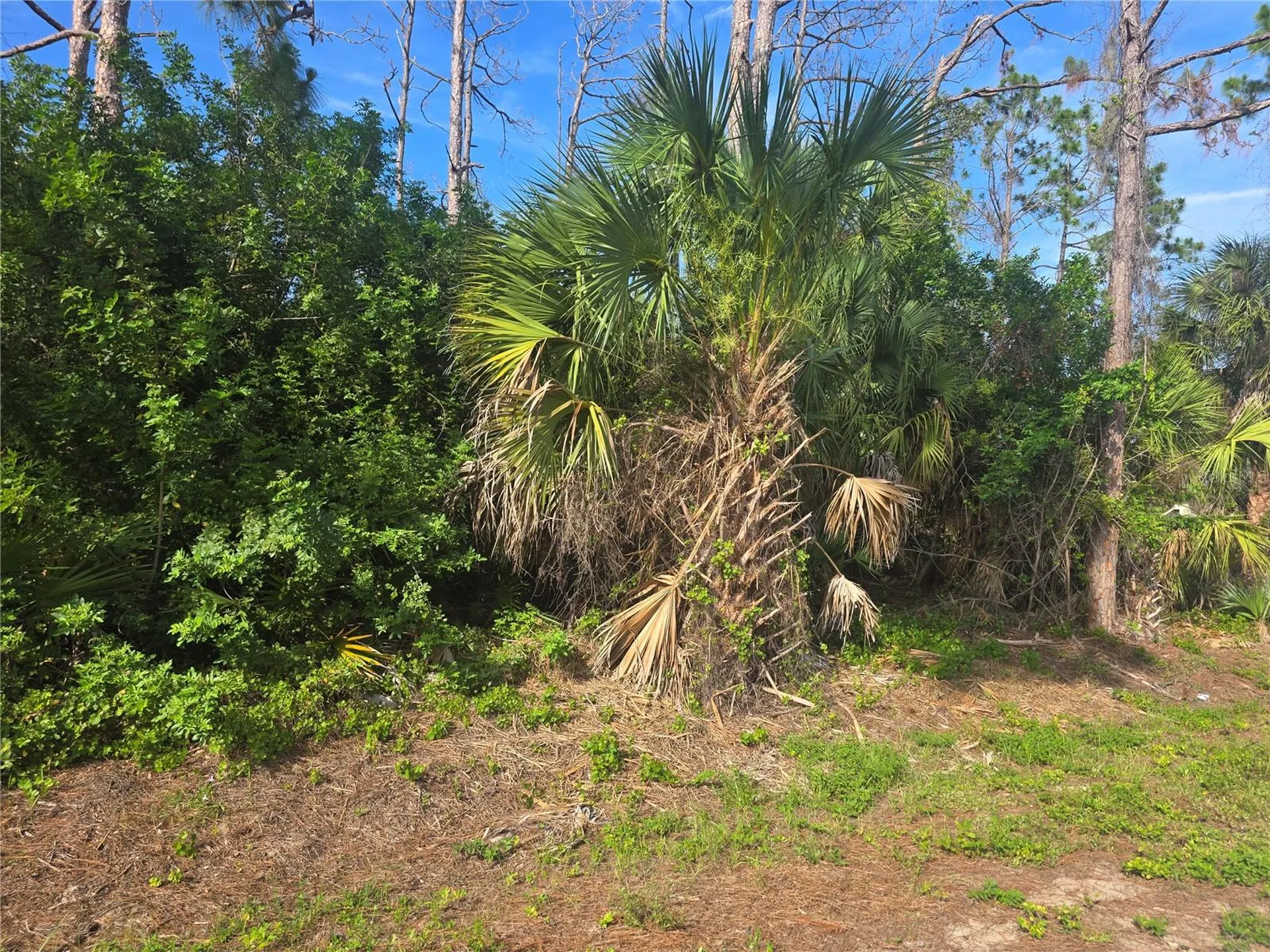 Pronto Lane North Port FL 34286