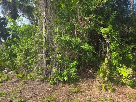 Pronto Lane North Port FL 34286