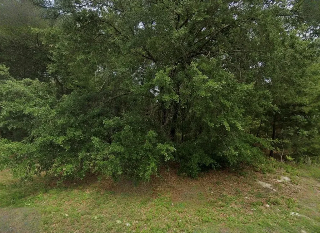 Unassigned Ocala FL 34473