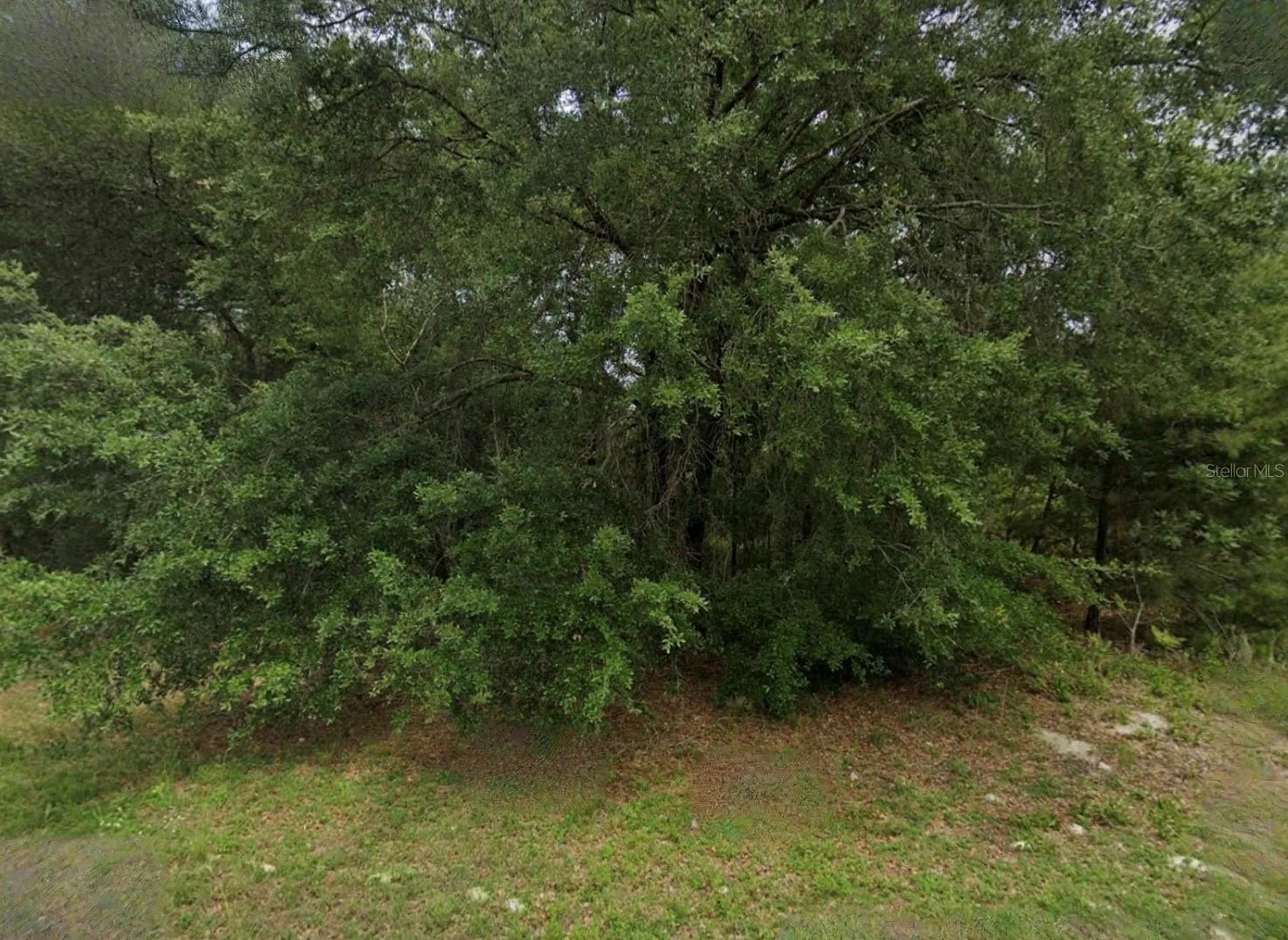 Unassigned Ocala FL 34473