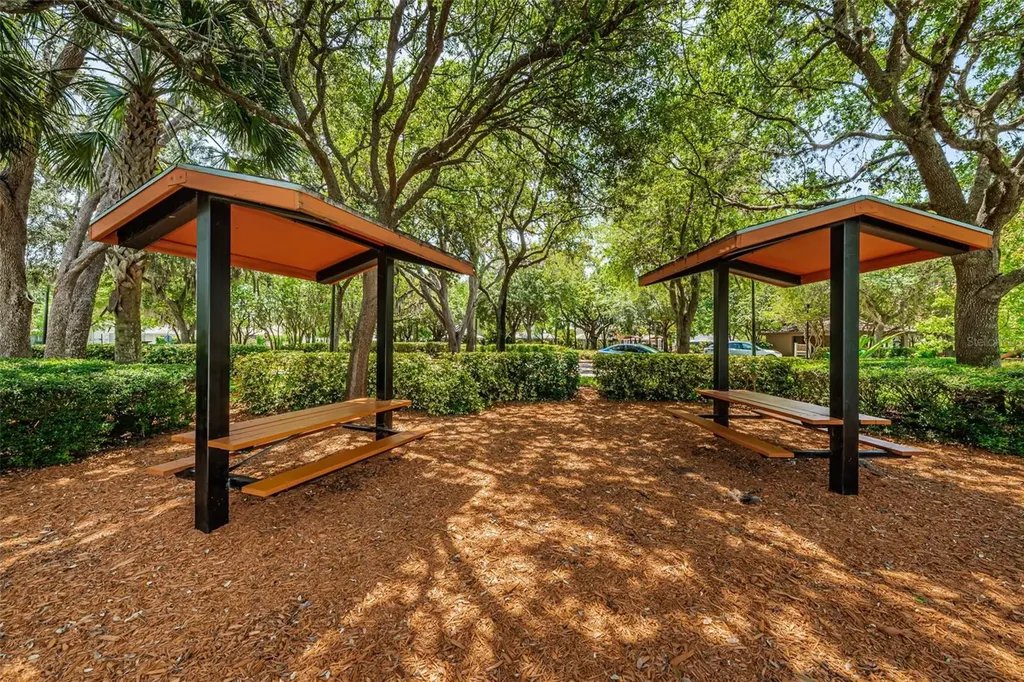 10643 Eveningwood Court Trinity FL 34655