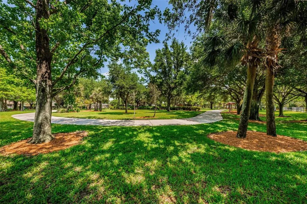 10643 Eveningwood Court Trinity FL 34655