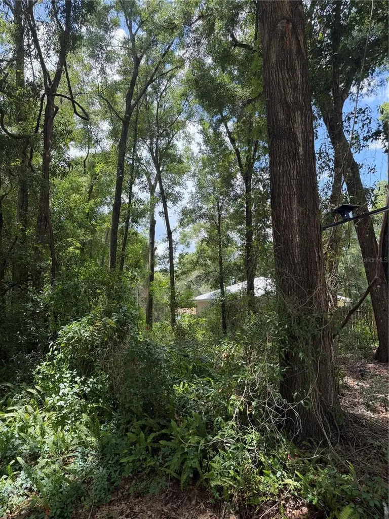 Tbd SW 76th Avenue Ocala FL 34476