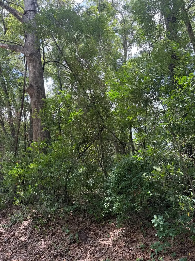 Tbd SW 76th Avenue Ocala FL 34476