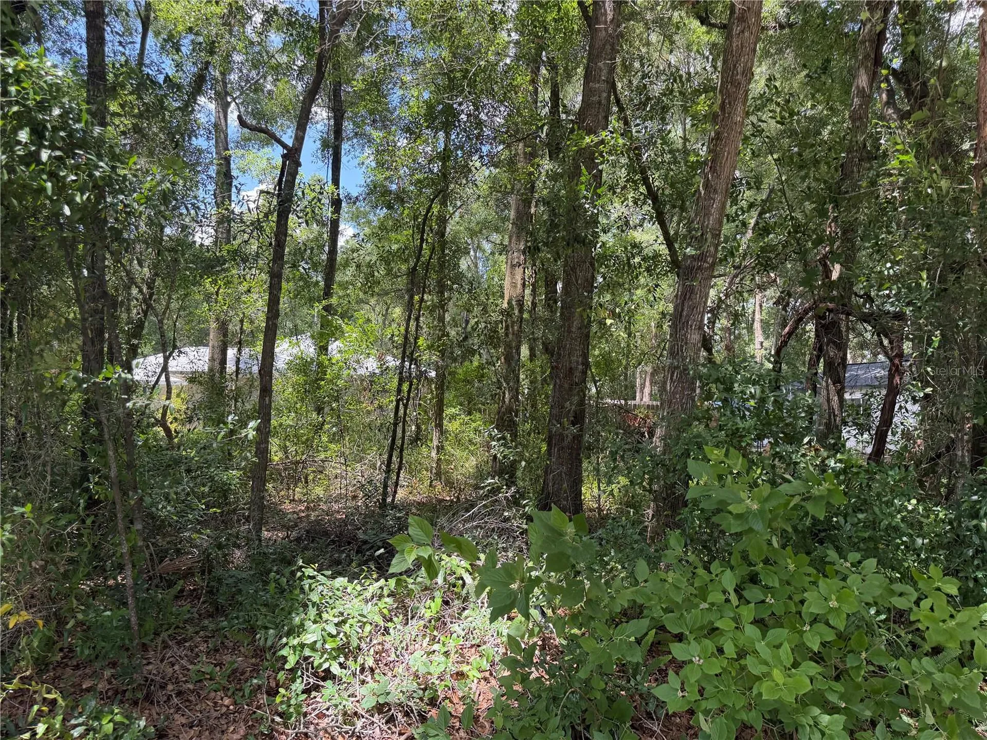 Tbd SW 76th Avenue Ocala FL 34476