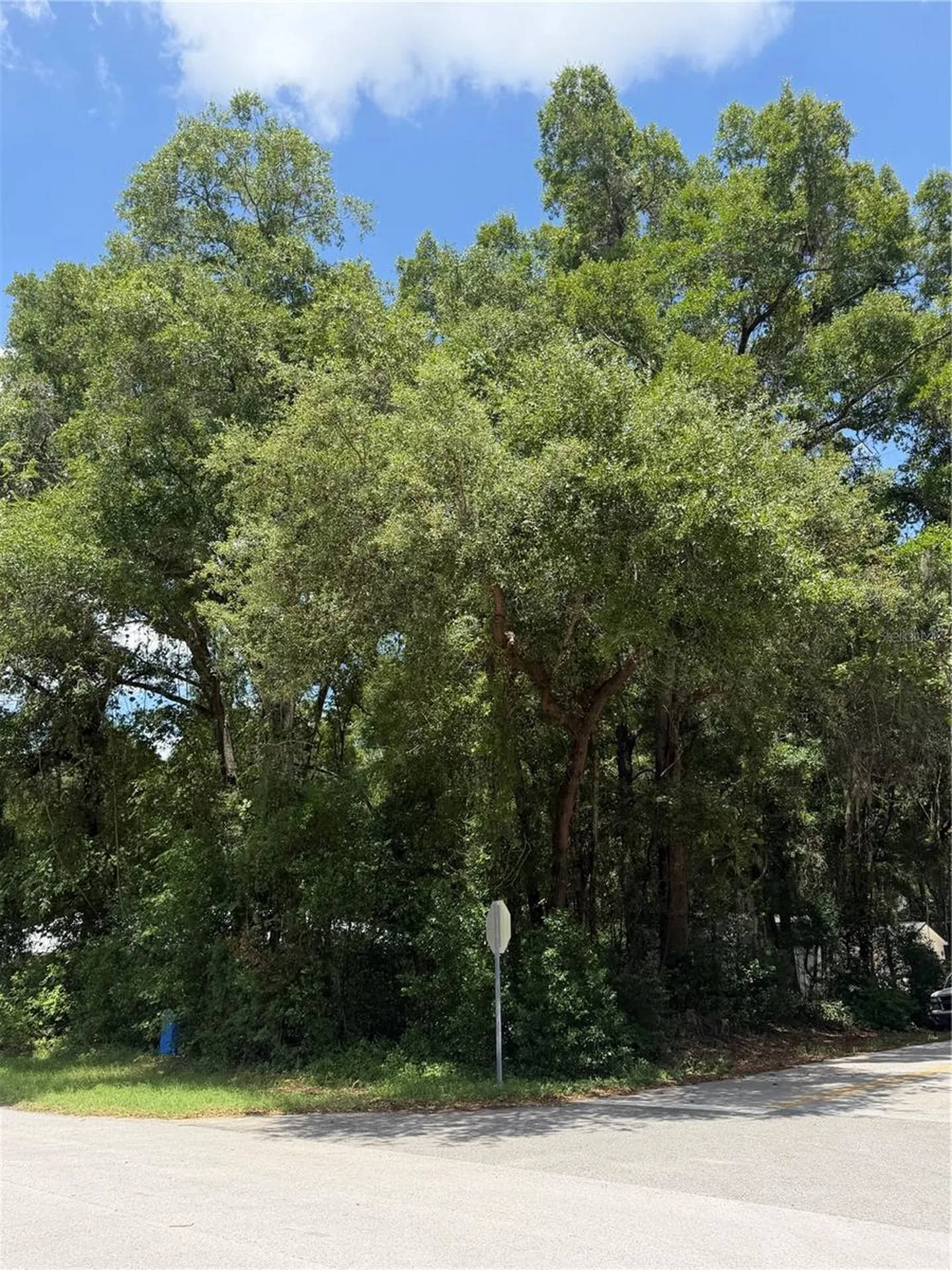 Tbd SW 76th Avenue Ocala FL 34476