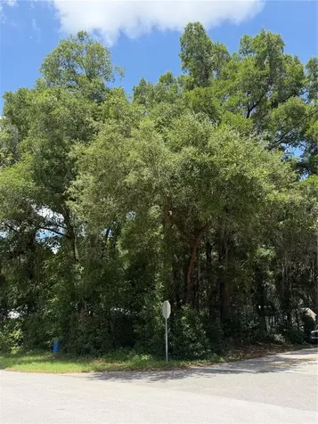 Tbd SW 76th Avenue Ocala FL 34476
