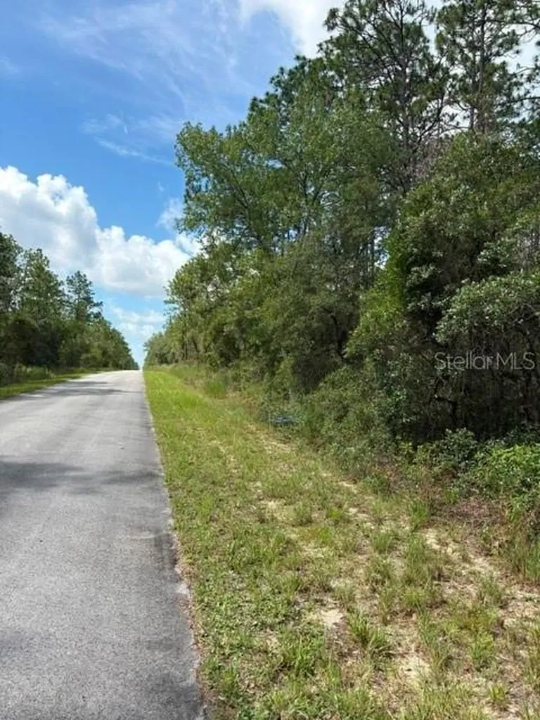 Tba SW Winding Hills Road Dunnellon FL 34431