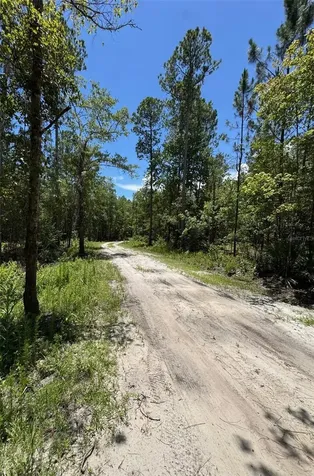 7420 NE 111th Place Gainesville FL 32609