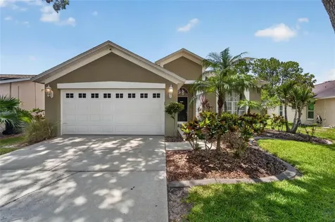 11514 Wellman Drive Riverview FL 33578