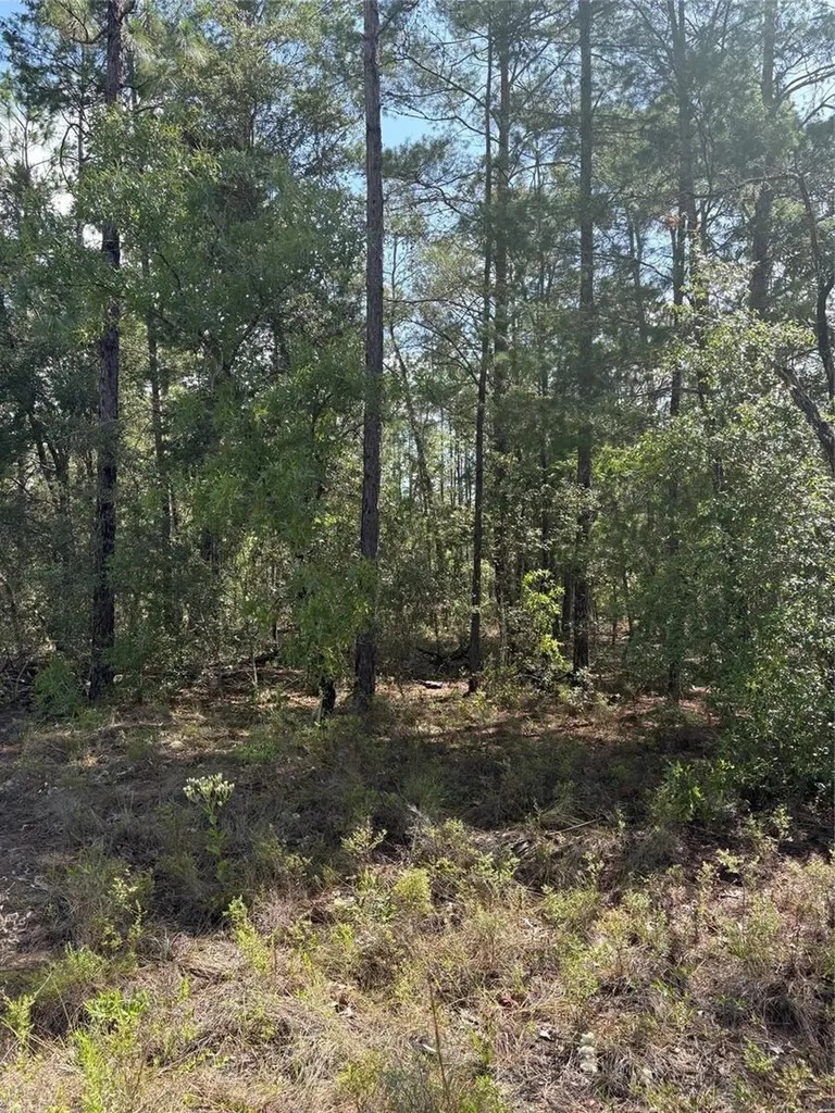 Tba Redwing Road Dunnellon FL 34431