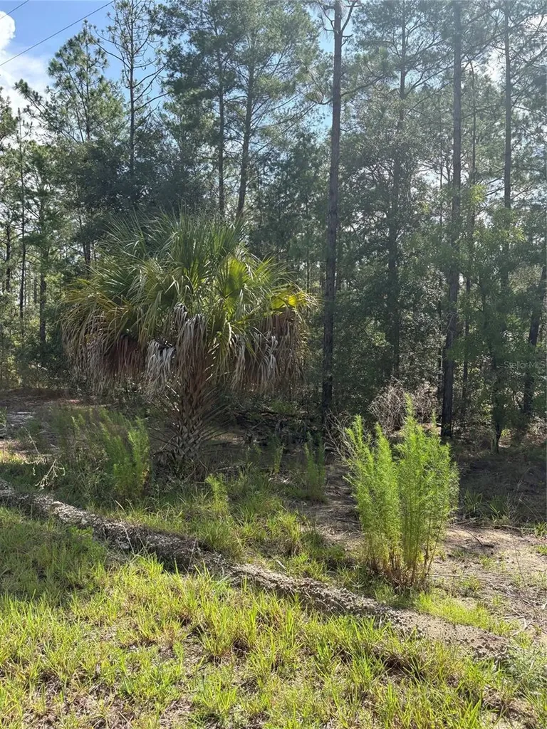 Tba Redwing Road Dunnellon FL 34431