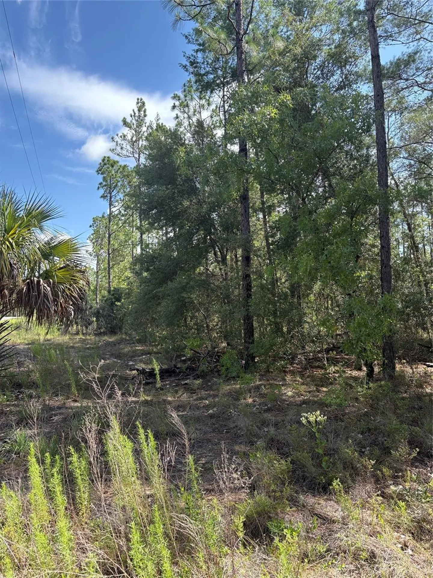Tba Redwing Road Dunnellon FL 34431