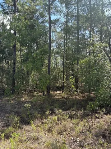 Tba Redwing Road Dunnellon FL 34431