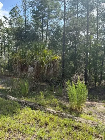 Tba Redwing Road Dunnellon FL 34431
