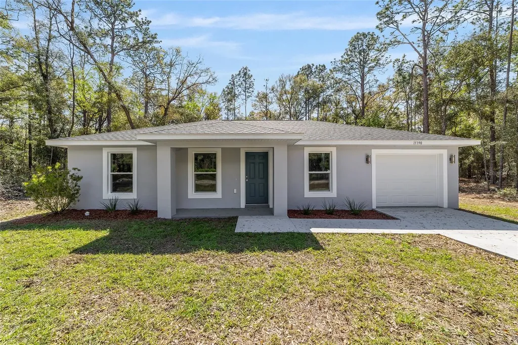 15664 SW 28th Lane Ocala FL 34481