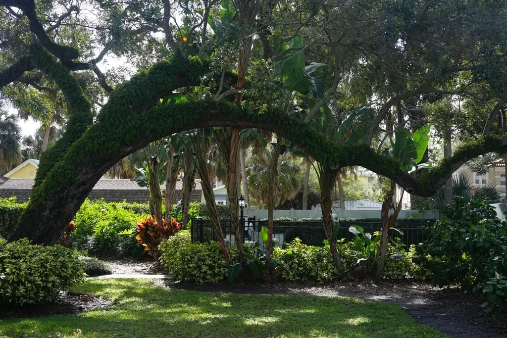 315 S Edison Avenue Tampa FL 33606