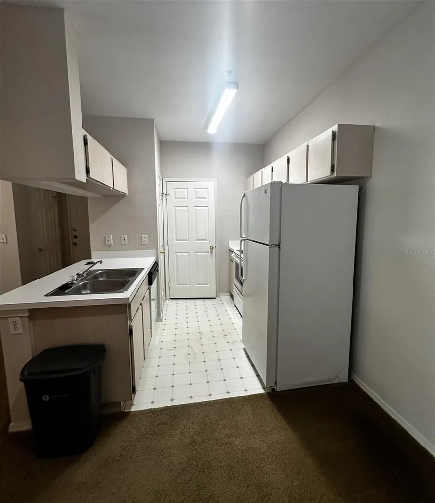 13245 Sanctuary Cove Drive Tampa FL 33637