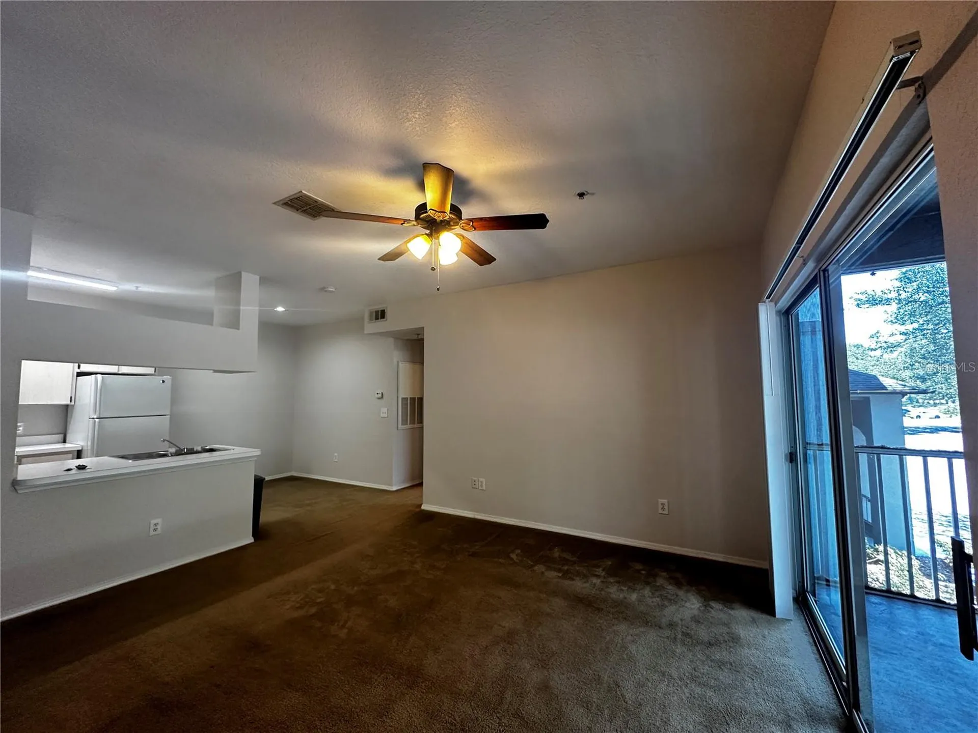 13245 Sanctuary Cove Drive Tampa FL 33637