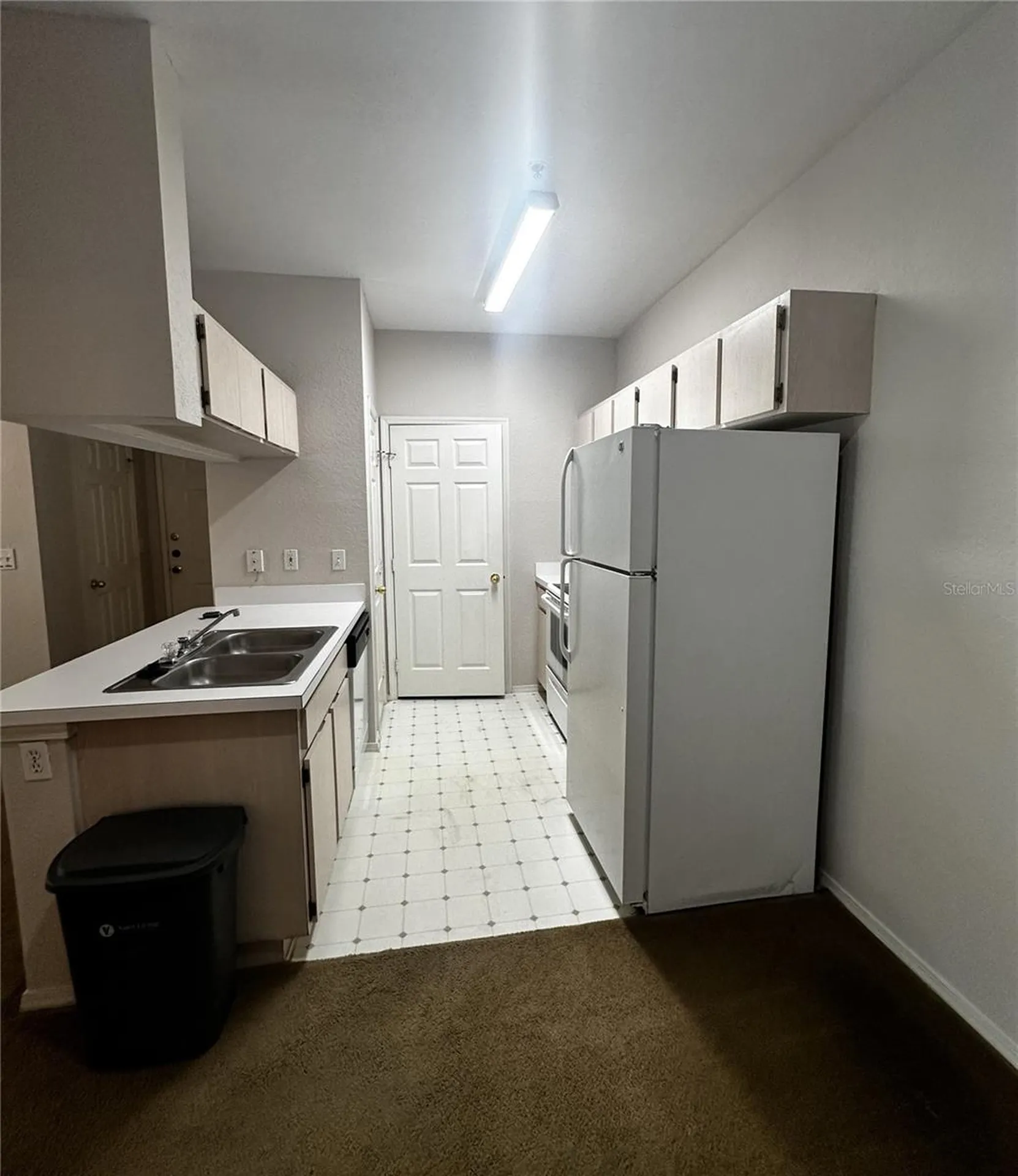 13245 Sanctuary Cove Drive Tampa FL 33637