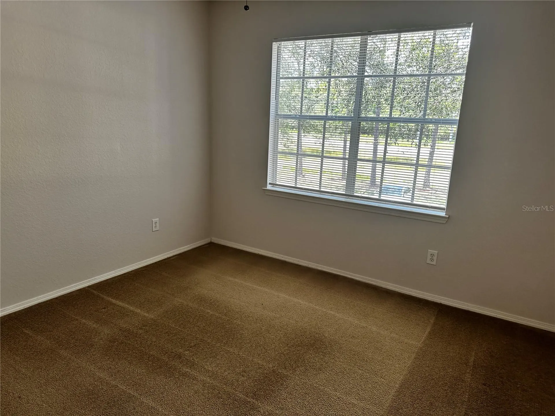 13245 Sanctuary Cove Drive Tampa FL 33637