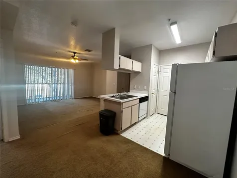 13245 Sanctuary Cove Drive Tampa FL 33637