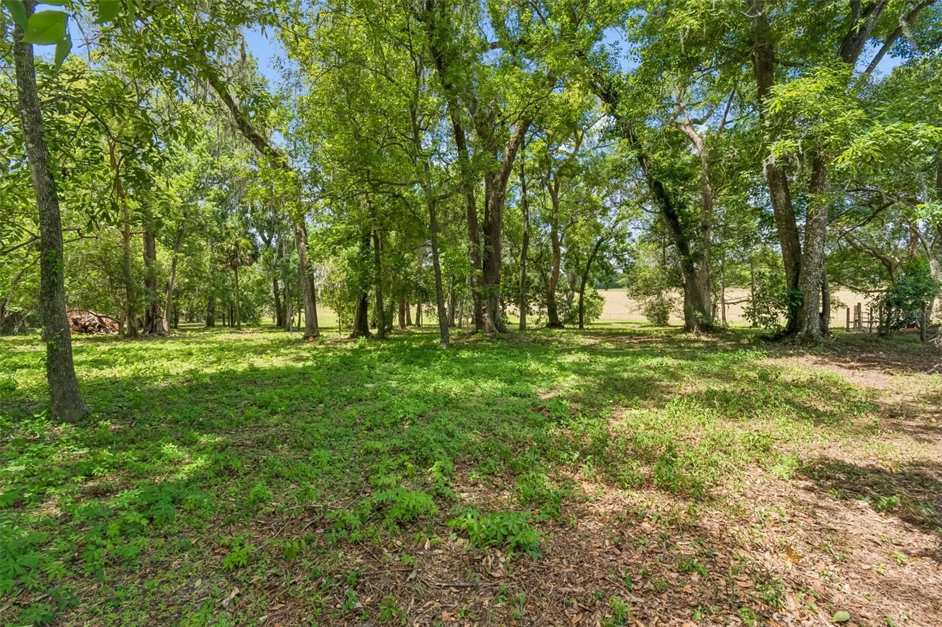 17345 Sweetwater Road Dade City FL 33523