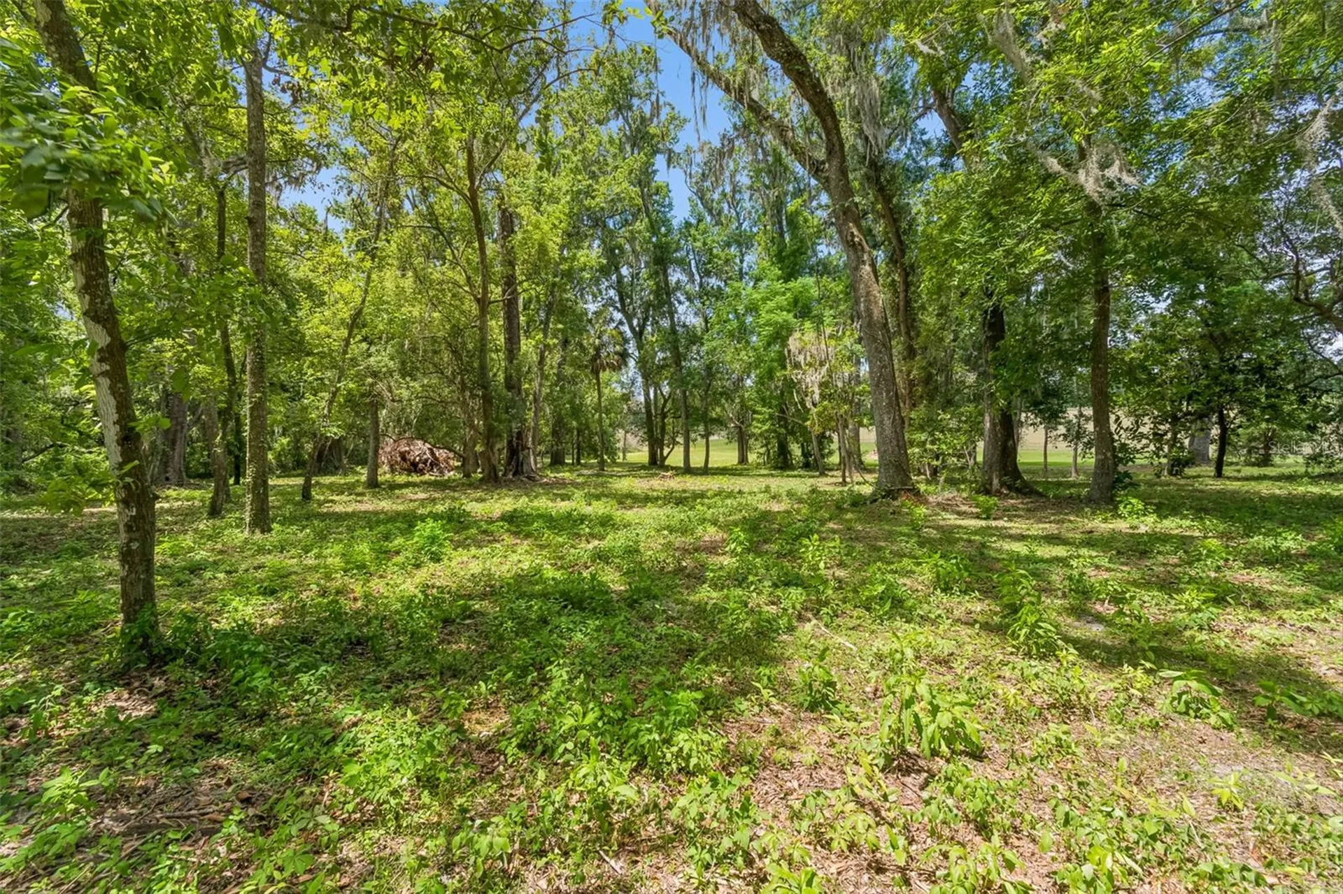 17345 Sweetwater Road Dade City FL 33523