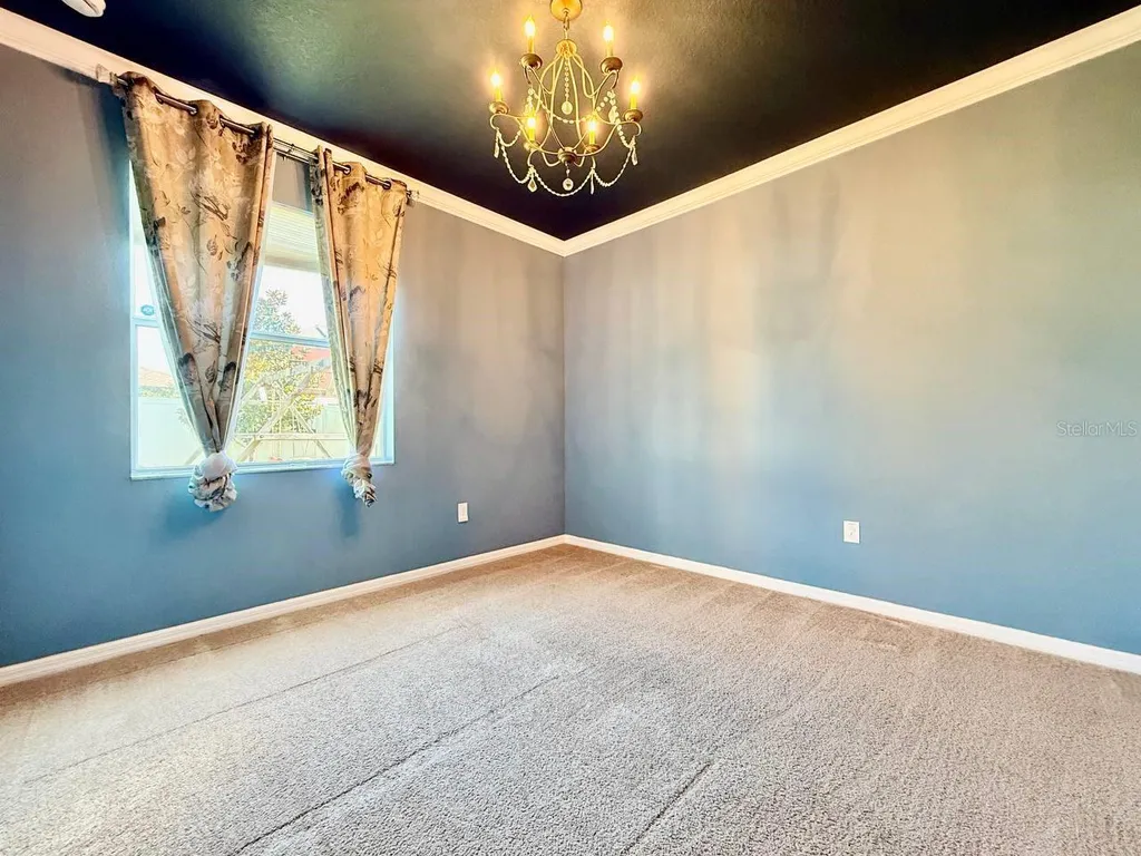 12404 Ballentrae Forest Drive Riverview FL 33579