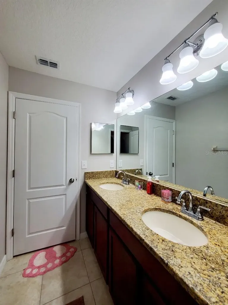 12404 Ballentrae Forest Drive Riverview FL 33579