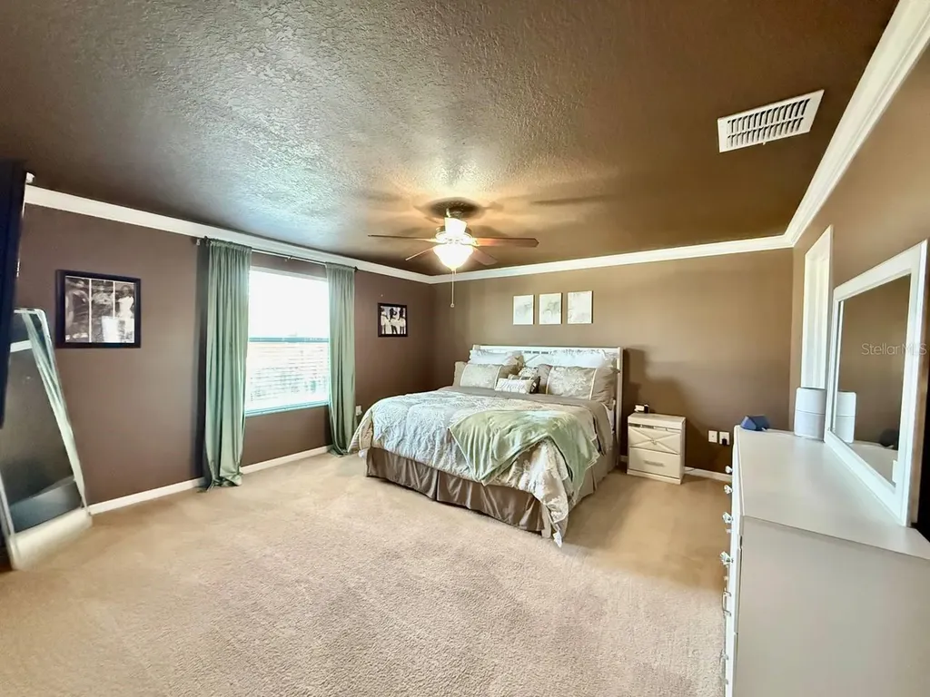 12404 Ballentrae Forest Drive Riverview FL 33579