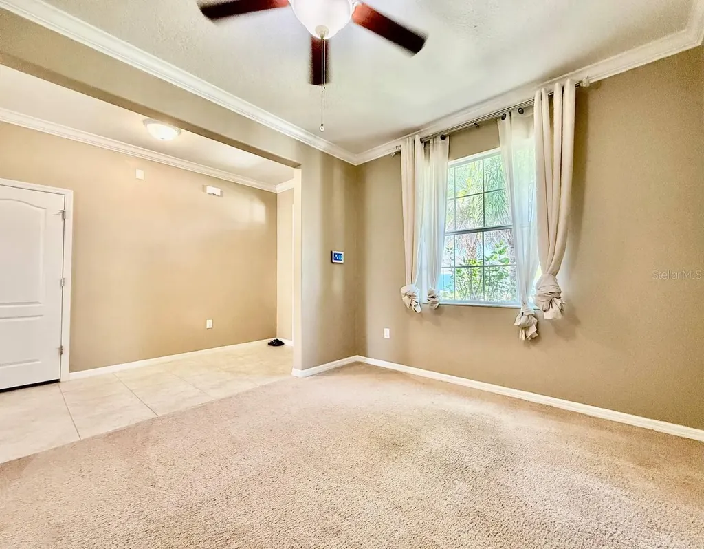 12404 Ballentrae Forest Drive Riverview FL 33579