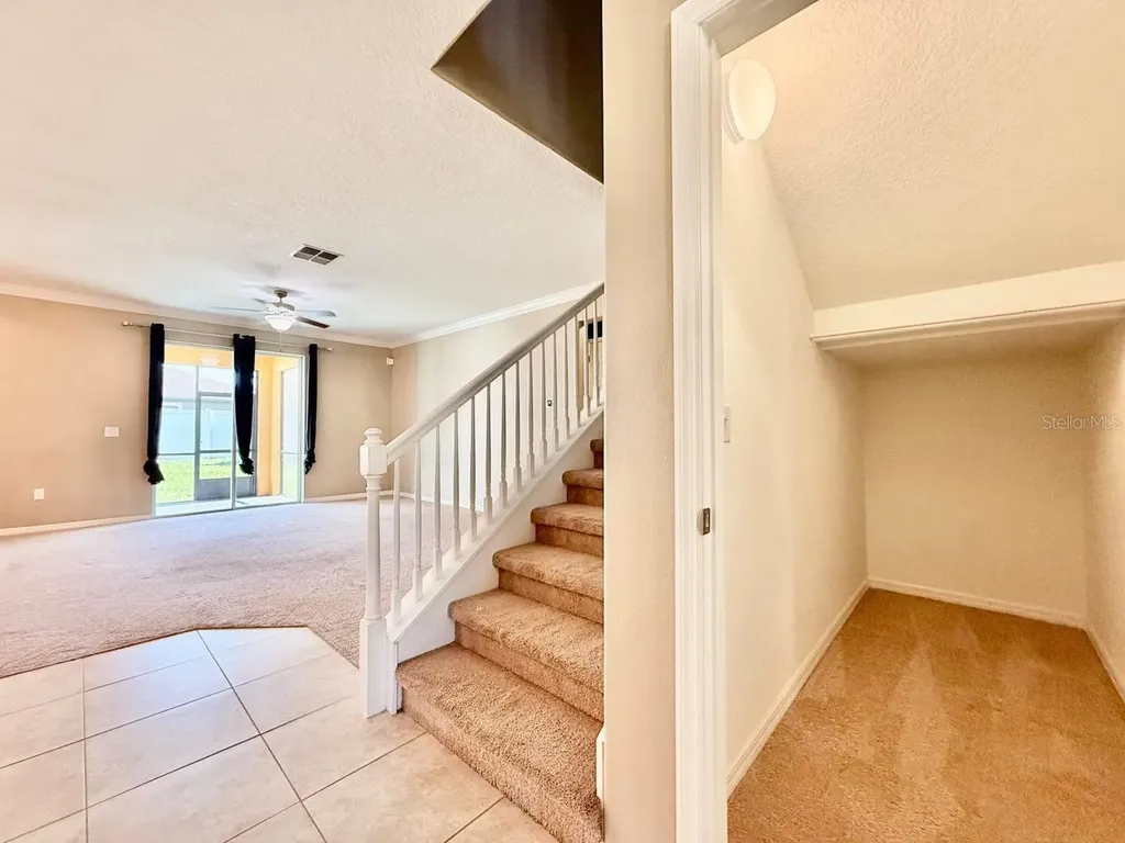 12404 Ballentrae Forest Drive Riverview FL 33579